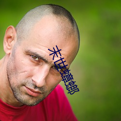 末(mò)世蟑螂