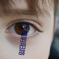 大撞阴阳路