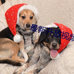 最(zuì)新开放视频聊(liáo)天app