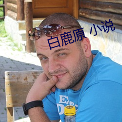 白鹿原 小说