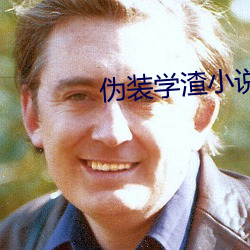 僞裝學渣小說