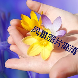 九游会登录j9入口 - 中国官方网站 | 真人游戏第一品牌