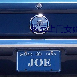极(極)品上(上)门(門)女婿