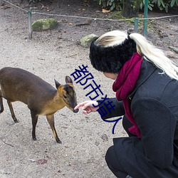 都市獵人