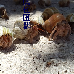 韓國內涵漫畫
