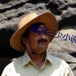 唐家三少(少)小说(說)
