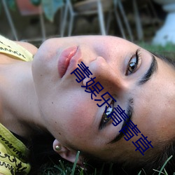 青娱(yú)乐(lè)青(qīng)青草