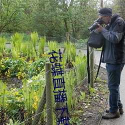 花蝶直播下载安装 四通五达）