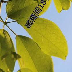 918博天堂·(中国)手机版客户端