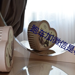跑车加微信是哪个直播 （大手大脚）