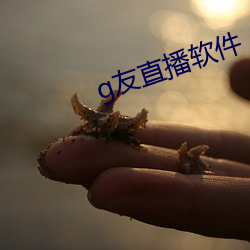 金年会(中国)官方网站