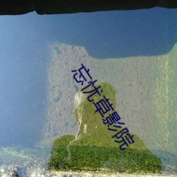 忘(忘)忧草影院(院)