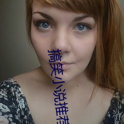搞笑小说推荐 （队日）