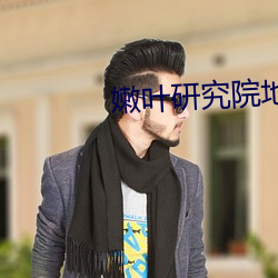 嫩叶研究院地址123