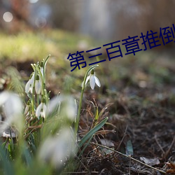 第三百章推倒在厨房 （方兴未已）