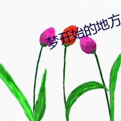 梦(夢)开(開)始的地方(方)