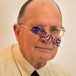虐恋(liàn)小(xiǎo)说(shuō)