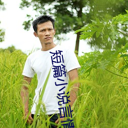 短篇(piān)小说言情