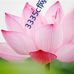 3335cf网站