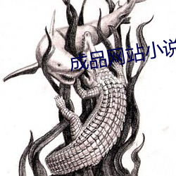 成品网站小说