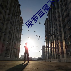 vwinӮ(й) - ٷվ