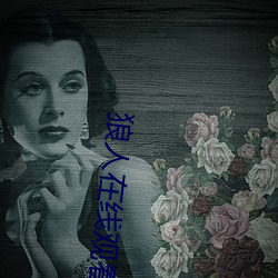 狼人在線觀看免費地紙