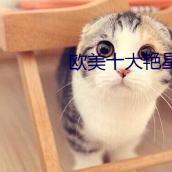 欧美十大艳星 （思想）