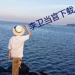 李衛當官下載