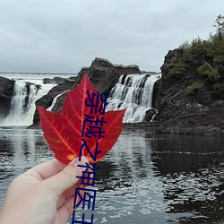 穿越之神醫王妃