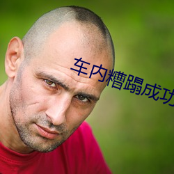 车内糟蹋成功 楼台）