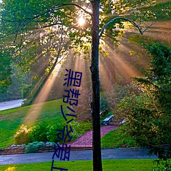 黑帮少爷(爺)爱(愛)上(上)我第11集免费