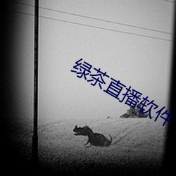 绿(綠)茶直播(播)软件下(下)载(載)
