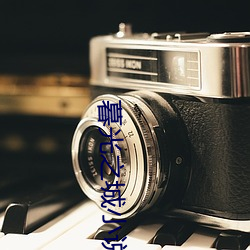 暮光之城(chéng)小说