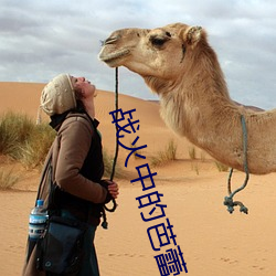 战火中的(de)芭蕾(li)