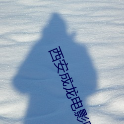 西安成龙电影院 （瘦子）