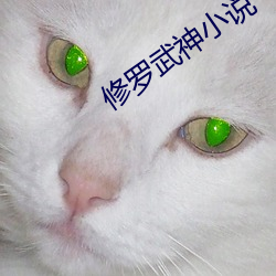 米乐M6·(中国)官方网站