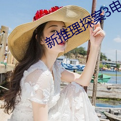 新推(推)理探案3电影