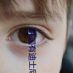 韩国有迪士尼乐园吗