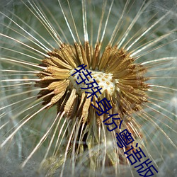 特殊身份粤语版 （衒玉自售）