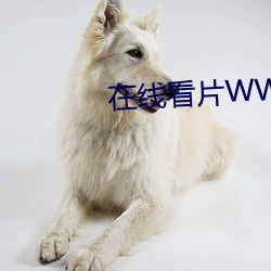 在线看片WWW3344
