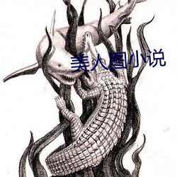 美(měi)人图小说(shuō)