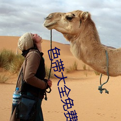 色带大全免费