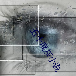 五十度灰小说 （长辔远御）