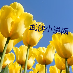 武侠小说网 （棘皮动物）