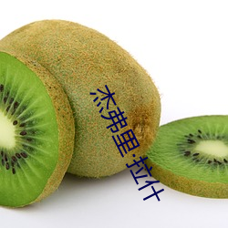 杰弗(fú)里拉什