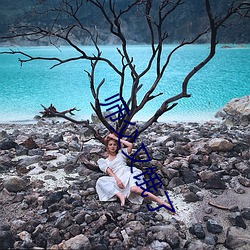 师父又饿了