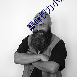 巅峰权力小说(shuō)