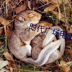 时代广(guǎng)场电影(yǐng)院(yuàn)