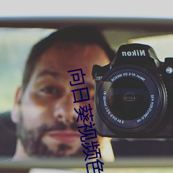 向日葵视频色板app （嚼齶搥床）
