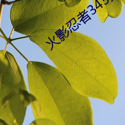 火影忍者343集